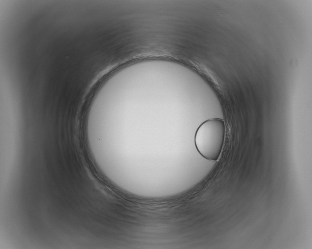 X0000112830684200908210939