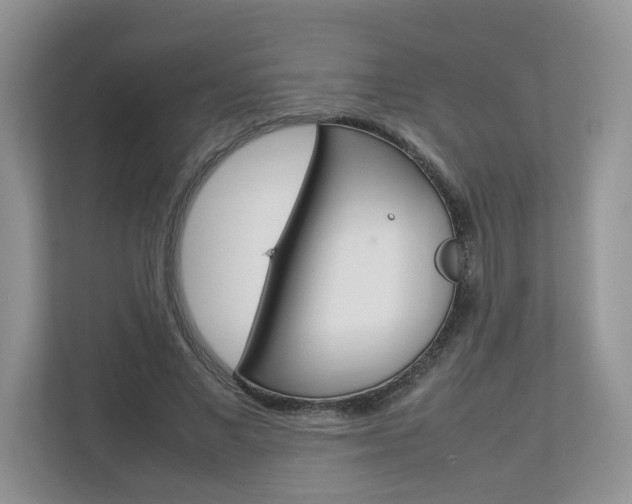 X0000112830685200908210939