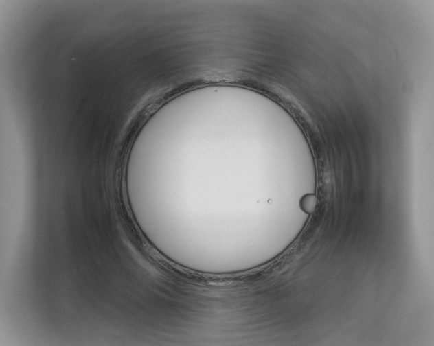 X0000112830686200908210939