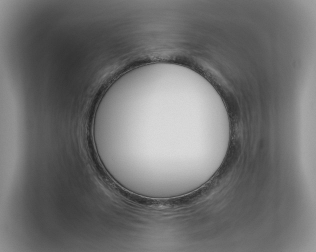 X0000112830687200908210939