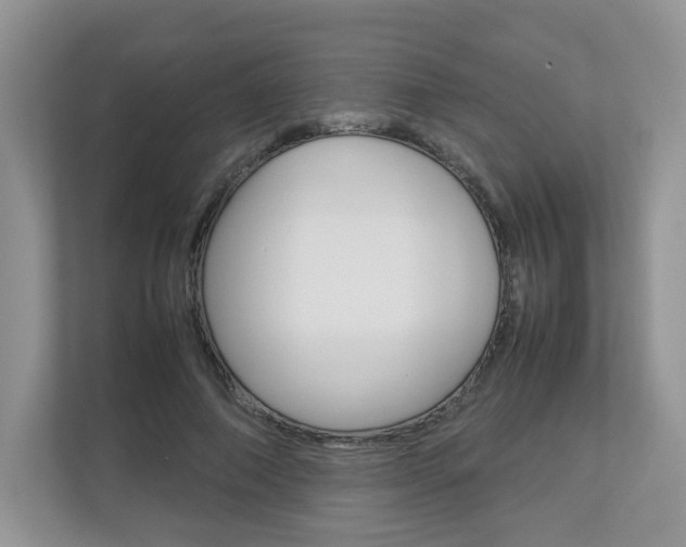 X0000112830690200908210939
