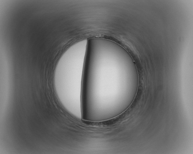 X0000112830693200908210939