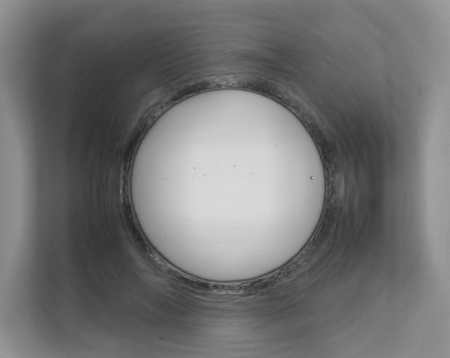X0000112830694200908210939