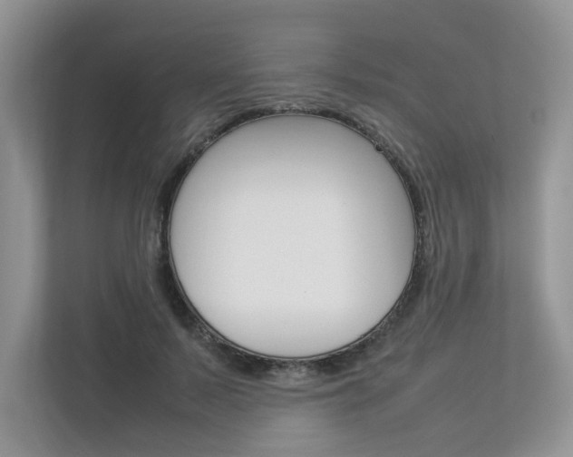 X0000112830695200908210939