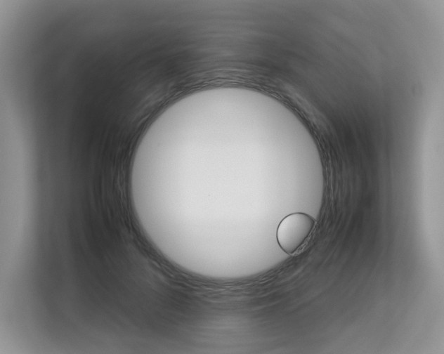 X0000112830696200908210939