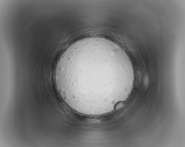 X0000112830698200908210939