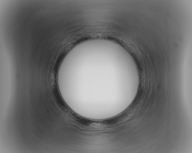 X0000112830699200908210939