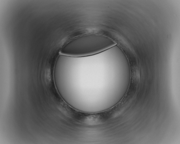 X0000112830700200908210939
