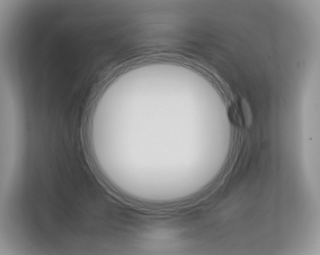 X0000112830701200908210939