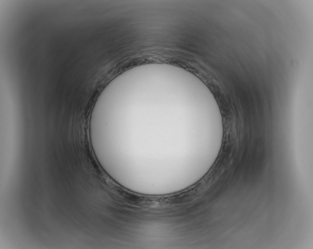 X0000112830702200908210939