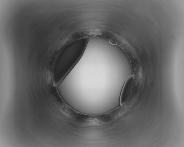 X0000112830704200908210939