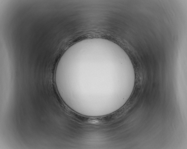 X0000112830706200908210939
