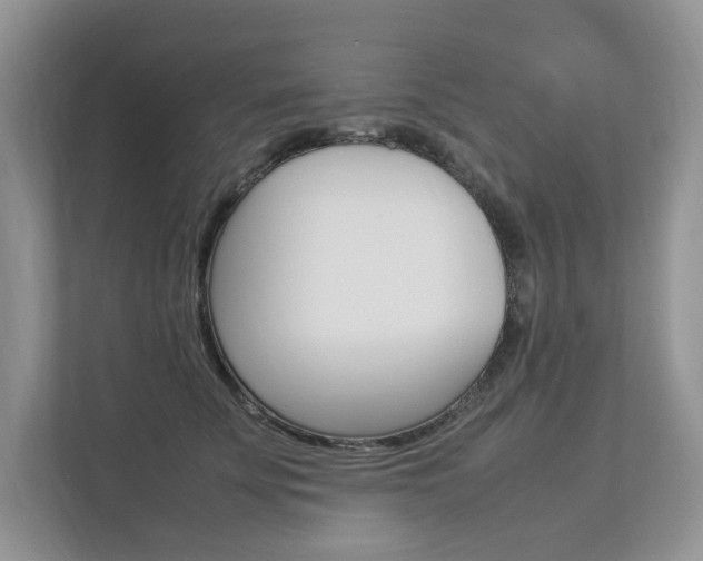 X0000112830707200908210939