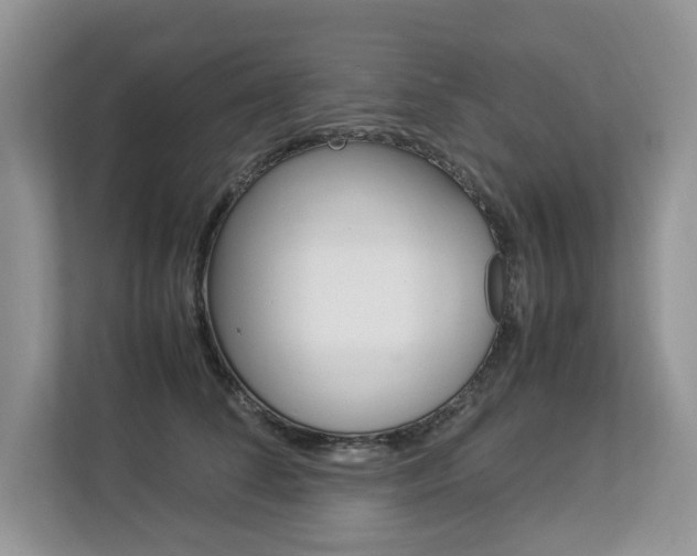 X0000112830708200908210939