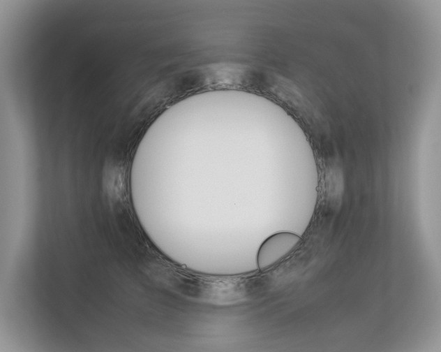X0000112830709200908210939