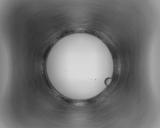 X0000112830710200908210939