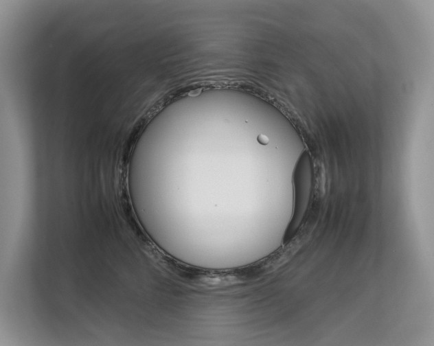 X0000112830712200908210939