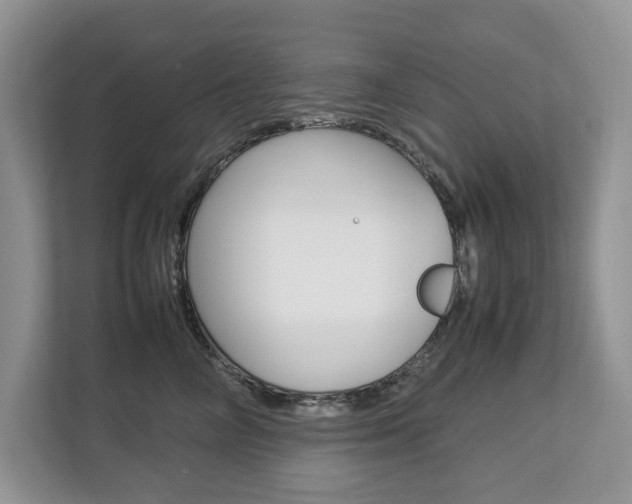X0000112830714200908210939