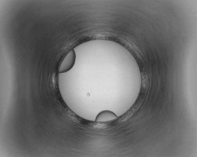 X0000112830718200908210939