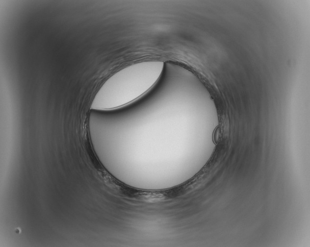 X0000112830719200908210939