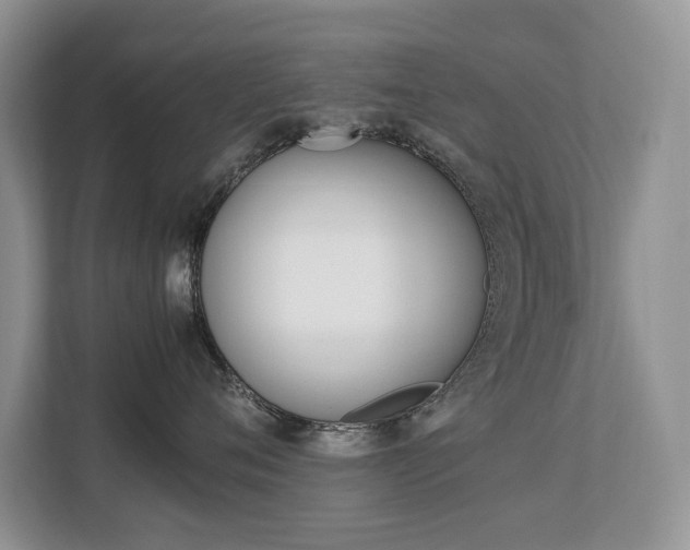 X0000112830720200908210939