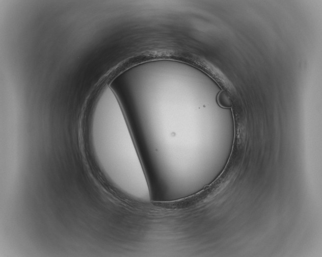 X0000112830722200908210938