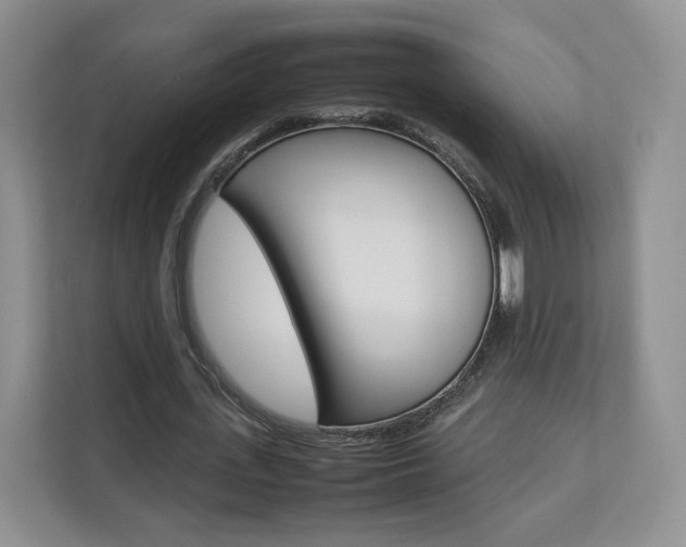 X0000112830723200908210938