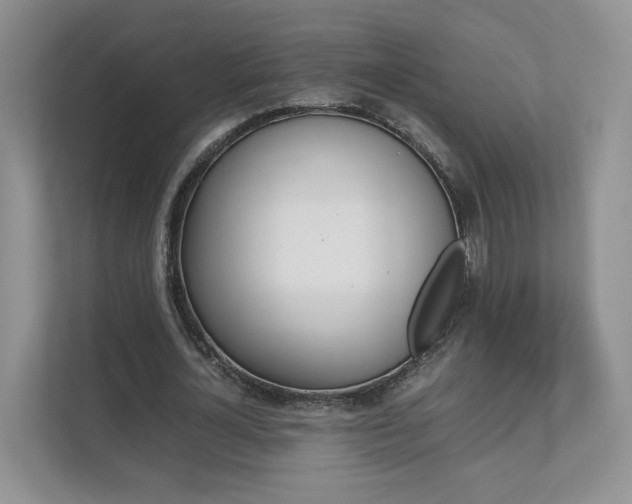 X0000112830724200908210938