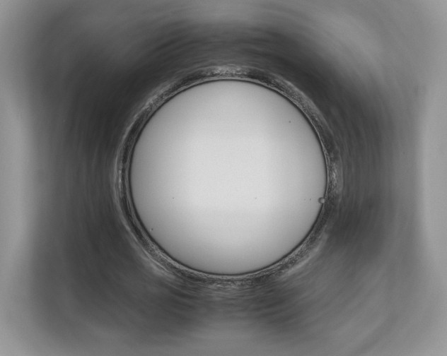 X0000112830725200908210938