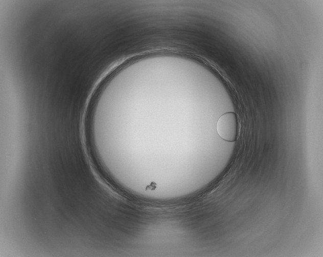 X0000112830726200908210938