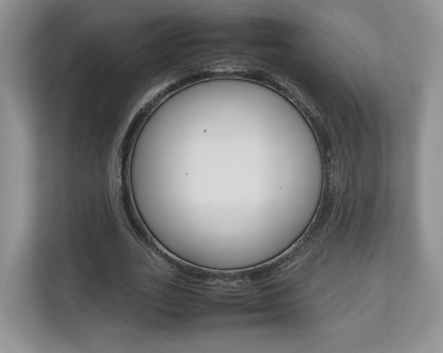 X0000112830727200908210938