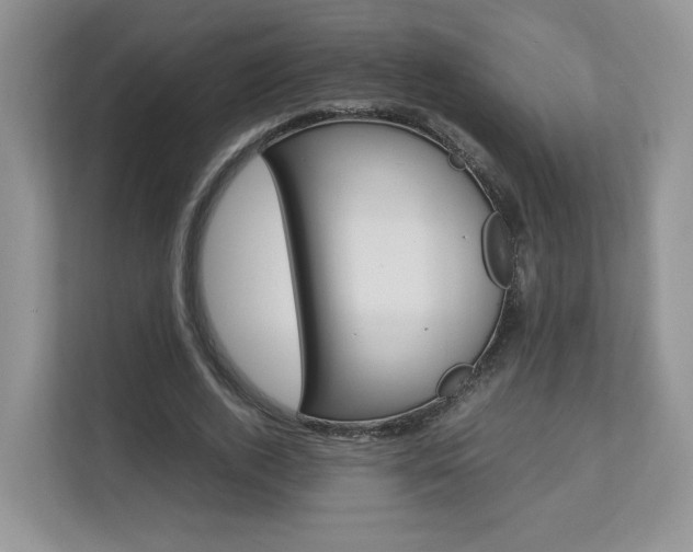 X0000112830728200908210938