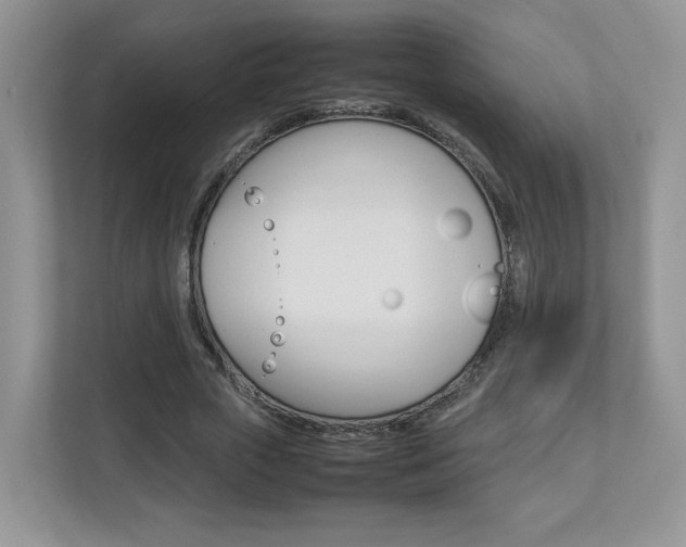 X0000112830729200908210938