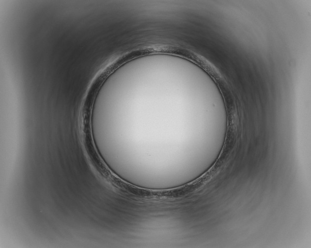 X0000112830730200908210938