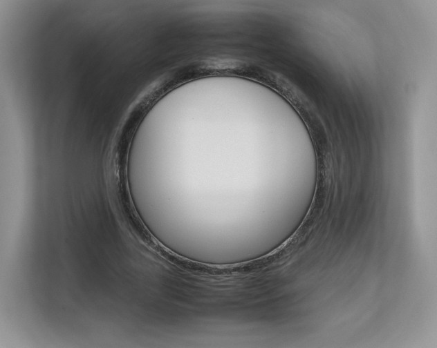 X0000112830731200908210938