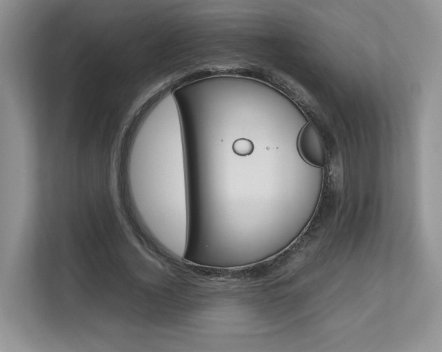 X0000112830732200908210938
