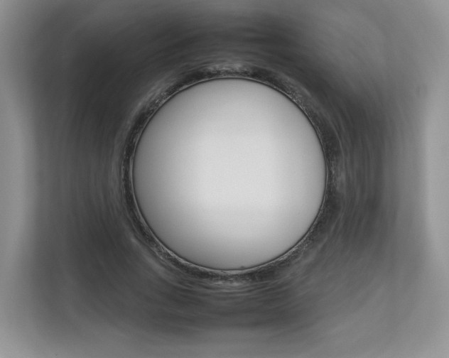 X0000112830735200908210938