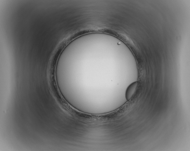 X0000112830736200908210938