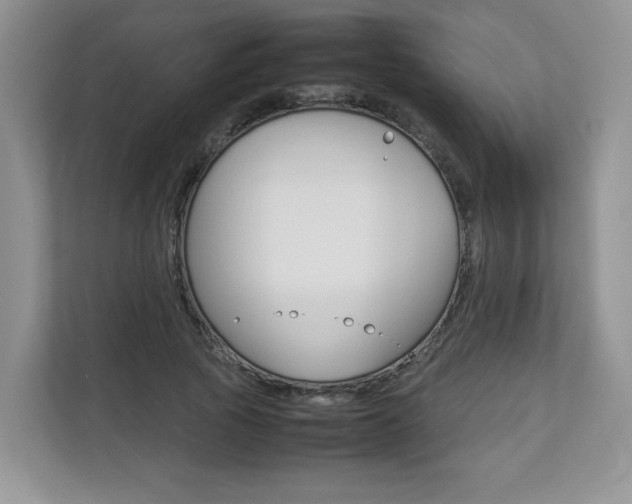 X0000112830737200908210938