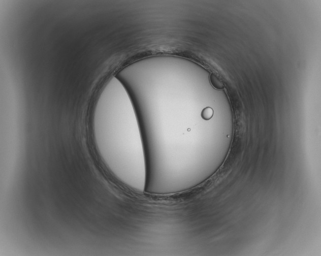 X0000112830738200908210938