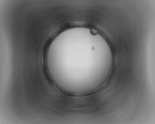 X0000112830739200908210938