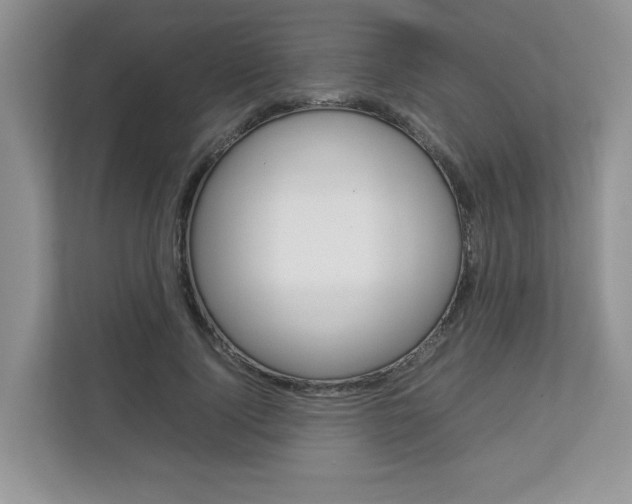 X0000112830740200908210938