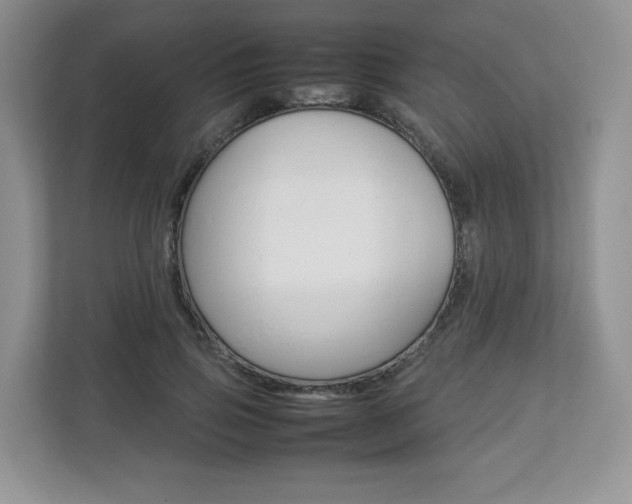 X0000112830741200908210938