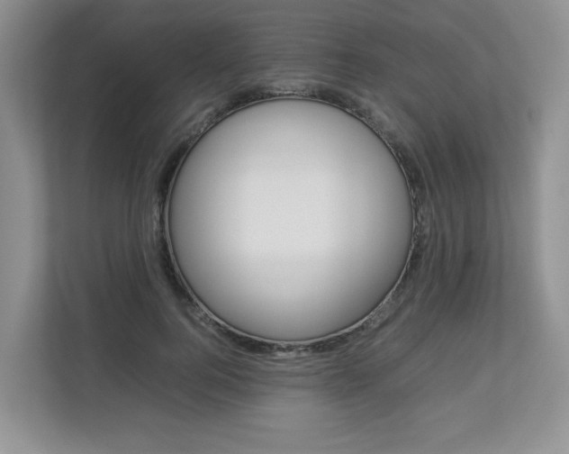 X0000112830744200908210938