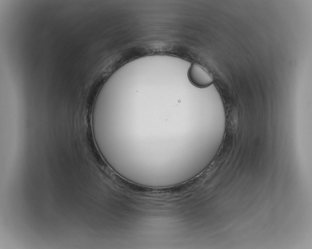 X0000112830746200908210938