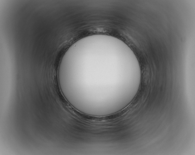 X0000112830747200908210938