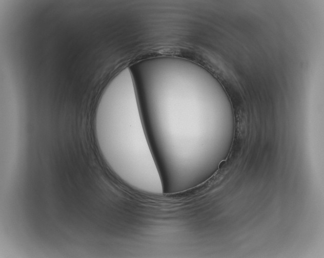 X0000112830748200908210938
