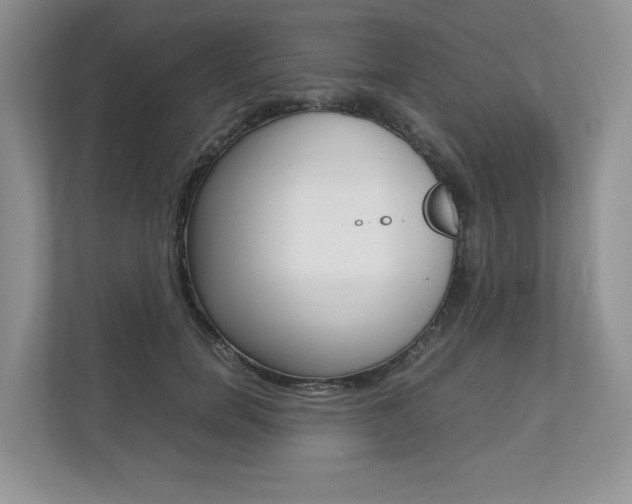 X0000112830750200908210938