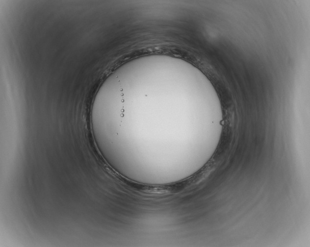X0000112830754200908210938