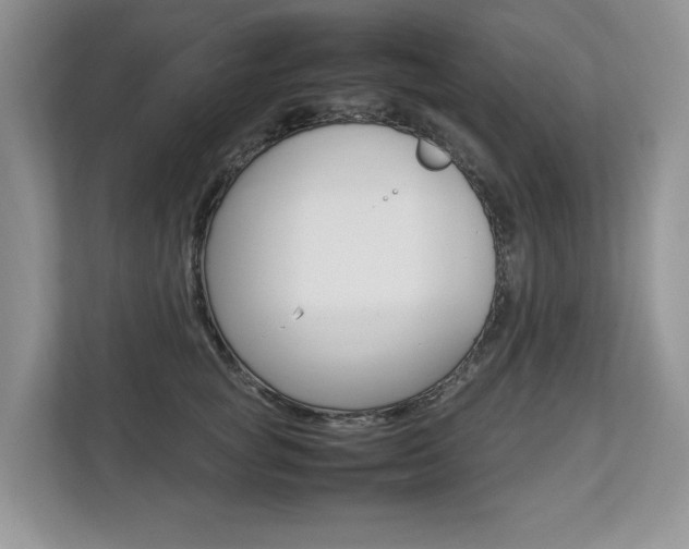 X0000112830757200908210938